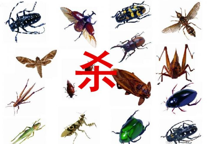 ļηֹó涣ҧ
